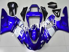 Blue White ABS Injection Mold