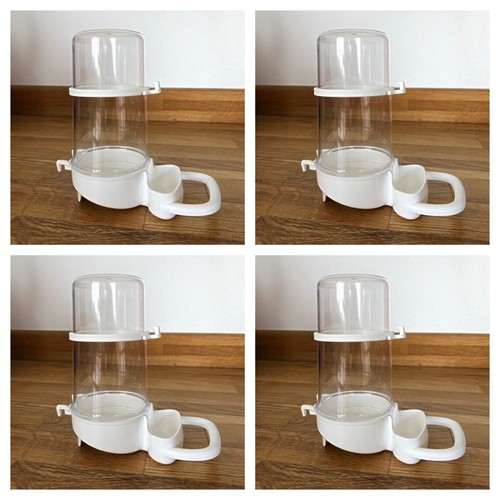 400cc cage bird - cage, water
