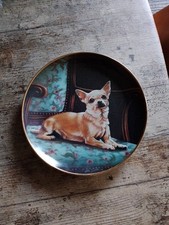 Danbury Mint Chihuahua 20cm Ornament Plate The Perfect Spot By John Silver