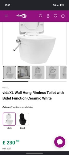 Wall hung rimless toilet with - hung,