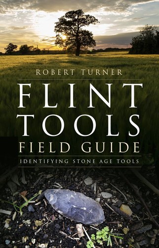 Flint tools field - flint,