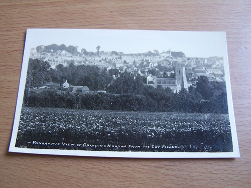 Panoramic view chipping - view,