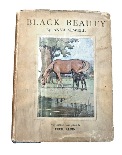 Black beauty anna sewell - beauty,