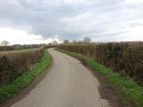 Photo 6x4 forsham lane near - forsham,