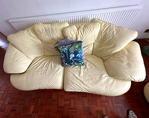 Pair pale yellow - pair,