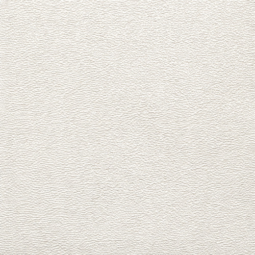 Caravan ceiling wallboard - caravan,