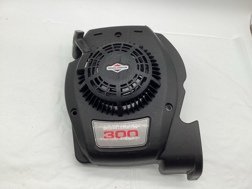Briggs stratton 300 - series,