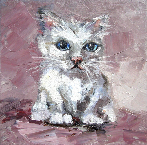 Cat with blue eyes original - eyes,
