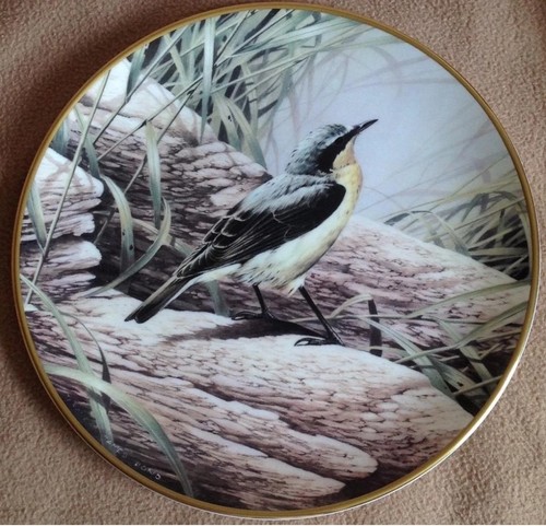 Rspb wedgwood collectors - collectors, plate