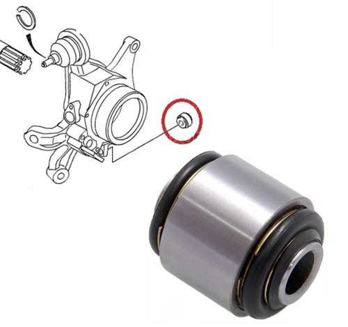 Rear knuckle arm lower - knuckle,