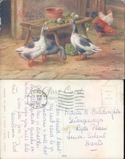 Geese and chickens in yard Salmon Ltd 1935 postmark Animals Domestic Family Life