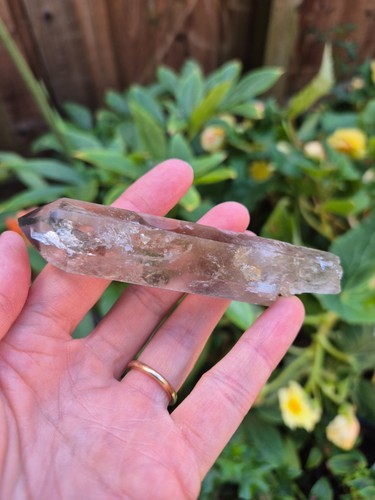Black phantom citrine lemurian - phantom,