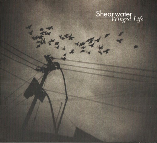 Shearwater winged life cd - winged, (cd