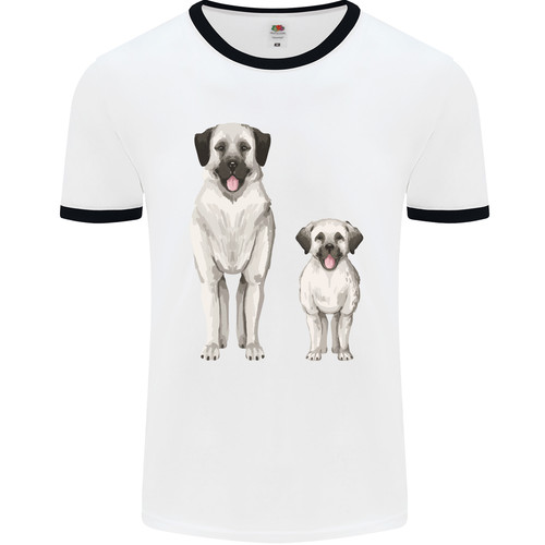 Anatolian shepherd dog and - shepherd,