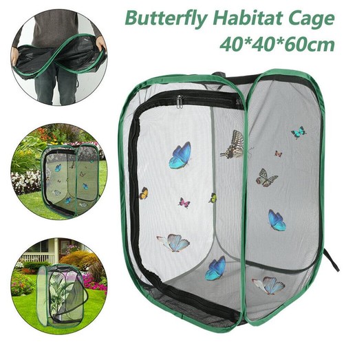 Green collapsible insect cage - green,