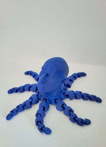 Rocktopus fidget toy dwayne - rocktopus,
