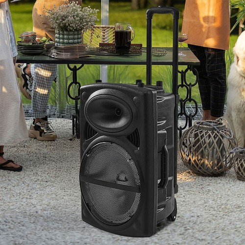 Inch bluetooth speaker - 12,