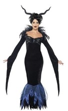 Lady Raven Halloween Costume