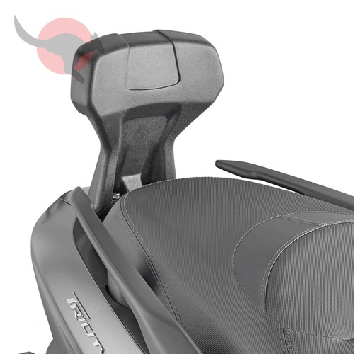 Rear passenger backrest givi - rear,