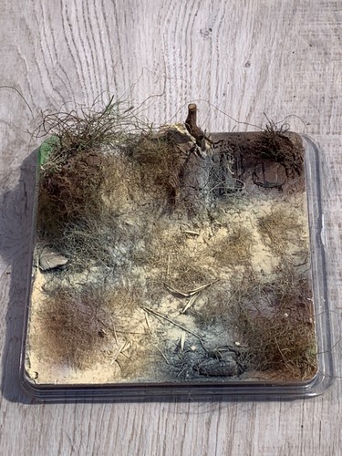 Diorama base plate - diorama,
