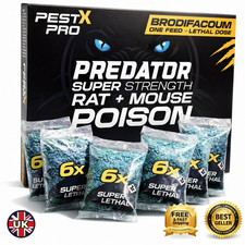 Pest pro rat killer poison - pest,