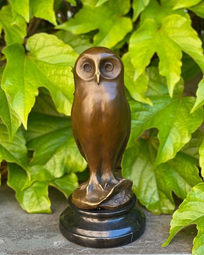 Owl bronze statue wisdom - owl,
