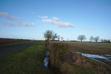 Photo 12x8 Flail-cut hedge