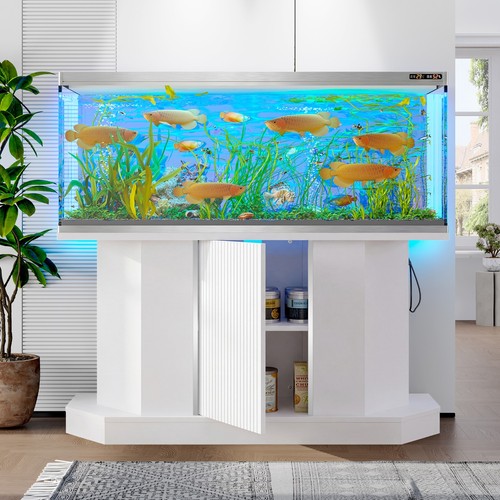 Modern aquarium stand turtle - modern,