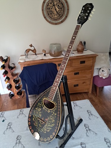 Vintage eko string bouzouki - eko, 8