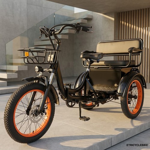 Electric trike adult family - adult,