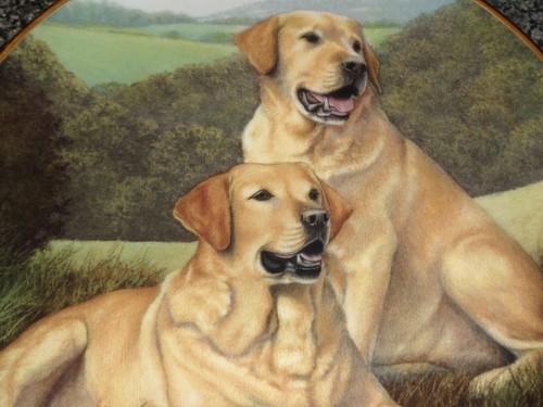 Lovely franklin mint - franklin, labrador
