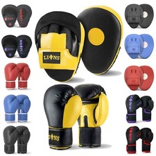 Kids Boxing Gloves Focus Pads Set Junior Punch Bag Sparring Training Ages 6-11