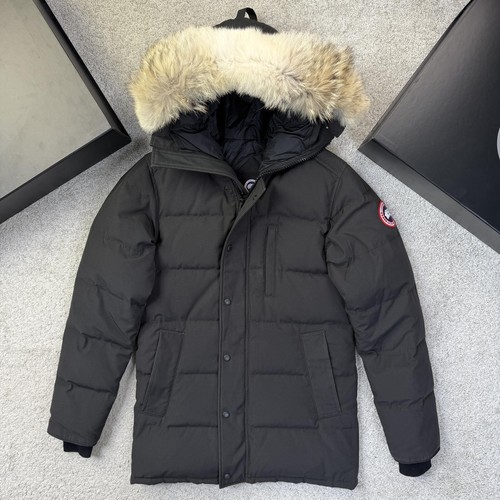 Canada goose carson - goose,