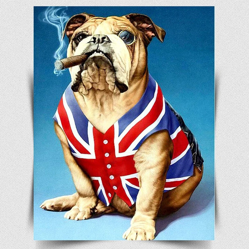British bulldog union jack - bulldog,