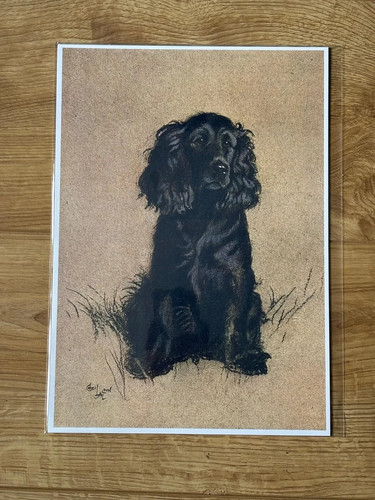 Cecil aldin cocker spaniel - cecil,