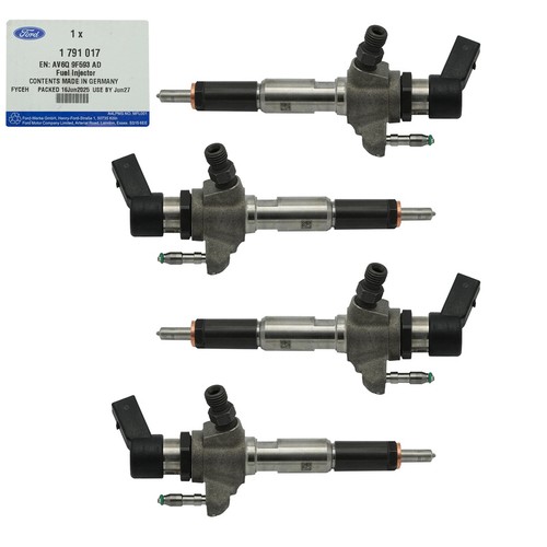 Injector fuel for - fuel,