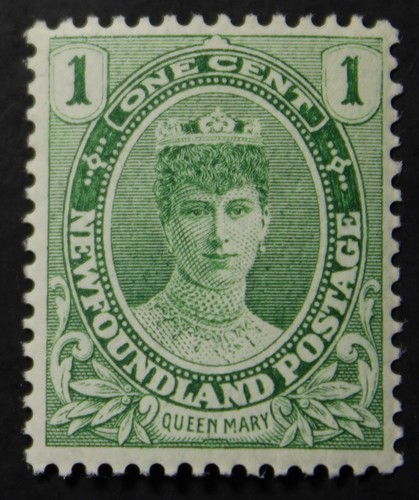 Newfoundland 104 mnh og - mnh,
