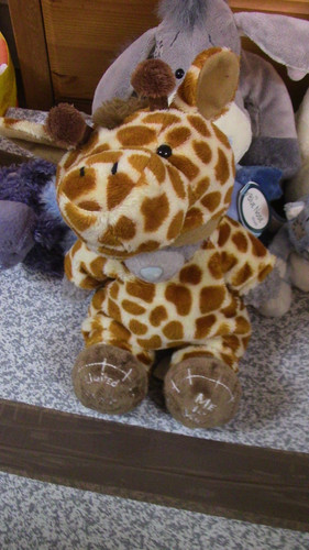 You tatty teddy - to,