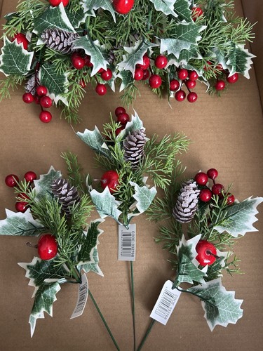 10x apple berry - berry, fern