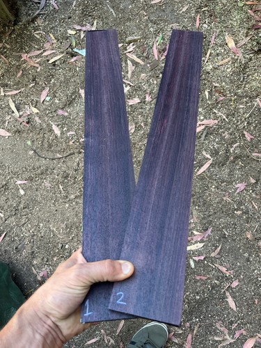 Indian rosewood string bass - 5-string,