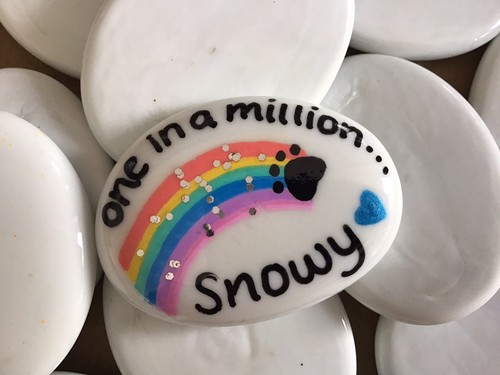 Rainbow pet memorial pebble - rainbow,