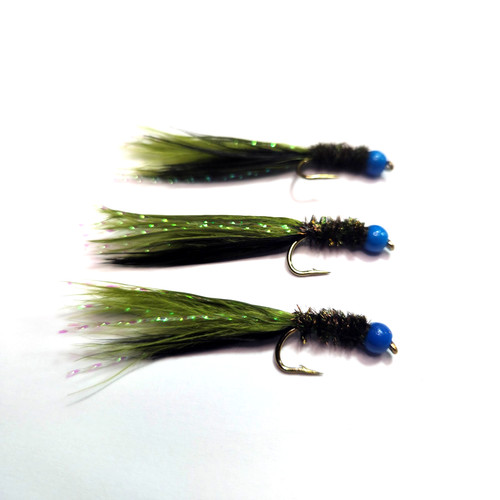 Olive damsel fly - x,