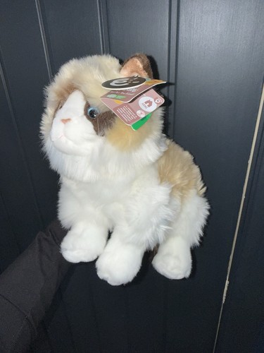 New ragdoll cat plush - cat, toy