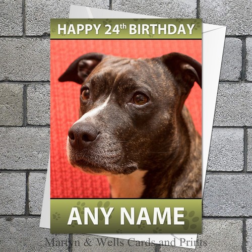 Staffordshire bull terrier - bull,