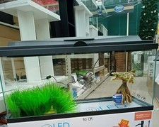 **BRAND NEW** Fish Tank