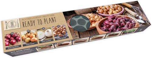 Ready plant onion sets - 38,