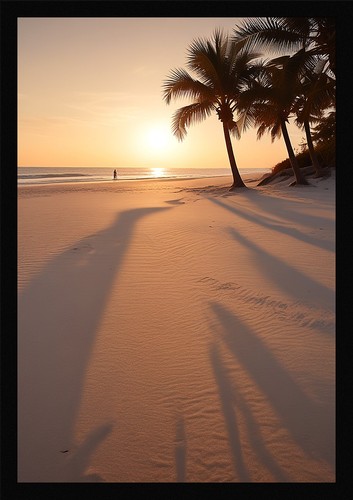Moody tropical beach framed - moody,