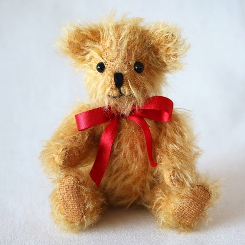 Canterbury bears golden - canterbury,