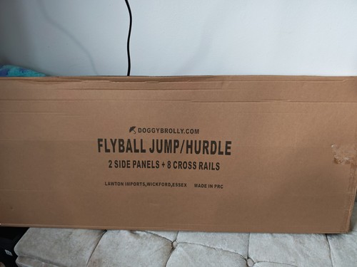 Flyball training log - training,