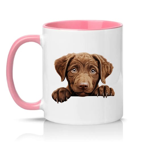 Chocolate labrador puppy - chocolate,